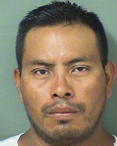  NICOLAS HERNANDEZ Results from Palm Beach County Florida for  NICOLAS HERNANDEZ