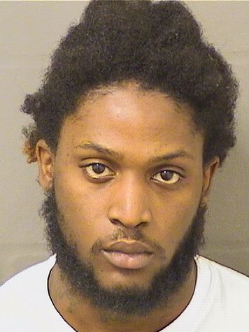  RONALD LEEJ GASKINS Resultados de la busqueda para Palm Beach County Florida para  RONALD LEEJ GASKINS
