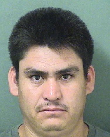  JESUS ROMEROLAMBAR Results from Palm Beach County Florida for  JESUS ROMEROLAMBAR