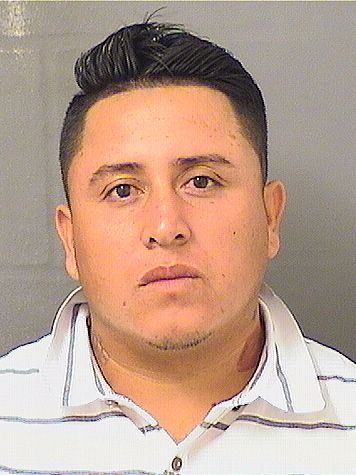  JULIO VAZQUEZHERNANDEZ Results from Palm Beach County Florida for  JULIO VAZQUEZHERNANDEZ