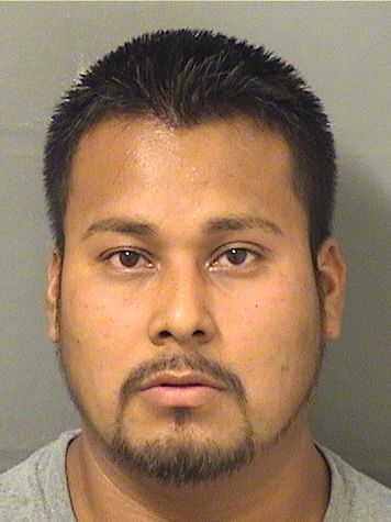  MIGUEL A PEREZ Results from Palm Beach County Florida for  MIGUEL A PEREZ