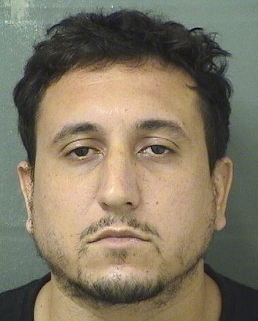  ALEX BRETT HAZAN Results from Palm Beach County Florida for  ALEX BRETT HAZAN