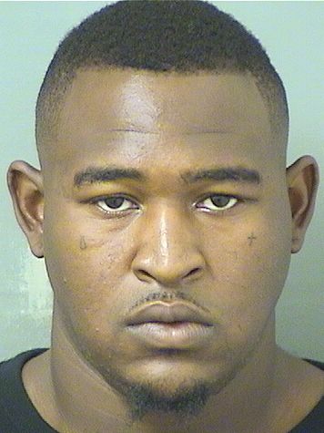  VINCENT DONELL Jr VEASEY Results from Palm Beach County Florida for  VINCENT DONELL Jr VEASEY