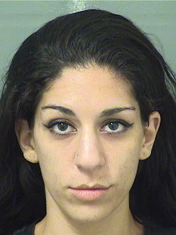  JESSICA NICOLE HOLLANDER Resultados de la busqueda para Palm Beach County Florida para  JESSICA NICOLE HOLLANDER