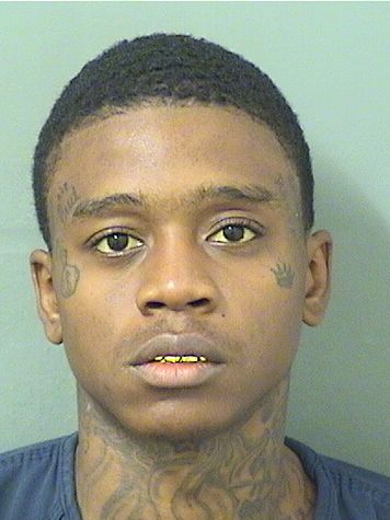  CARIE MARQUIS HENDRIX Results from Palm Beach County Florida for  CARIE MARQUIS HENDRIX