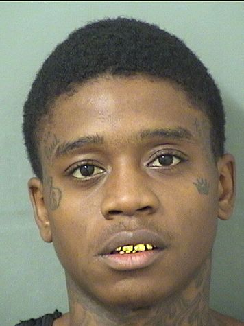  CARIE MARQUIS HENDRIX Results from Palm Beach County Florida for  CARIE MARQUIS HENDRIX