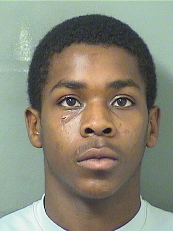  RAYMOND G JOHNSON Results from Palm Beach County Florida for  RAYMOND G JOHNSON