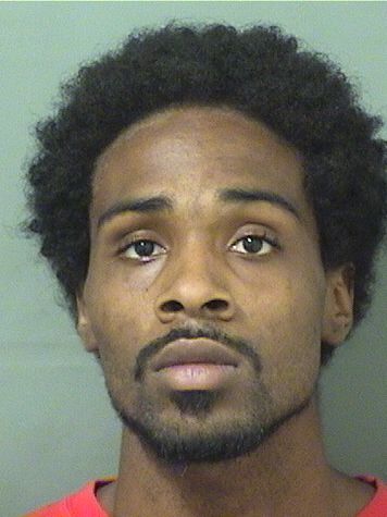  DESI L WILLIAMS Results from Palm Beach County Florida for  DESI L WILLIAMS