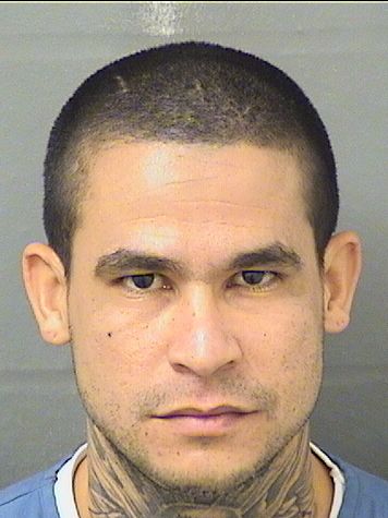 RICARDO PUPO Results from Palm Beach County Florida for RICARDO PUPO RICARDO PUPO Results from Palm Beach County Florida for RICARDO PUPO