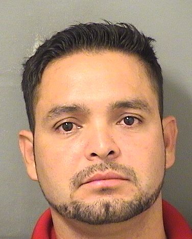 WIL FLORES Photos For  WIL FLORES  WIL FLORES Photo For  WIL FLORES