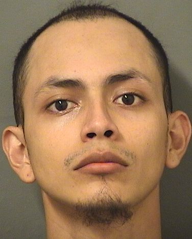  ERICK VICTOR GUTIERREZITURBE Results from Palm Beach County Florida for  ERICK VICTOR GUTIERREZITURBE