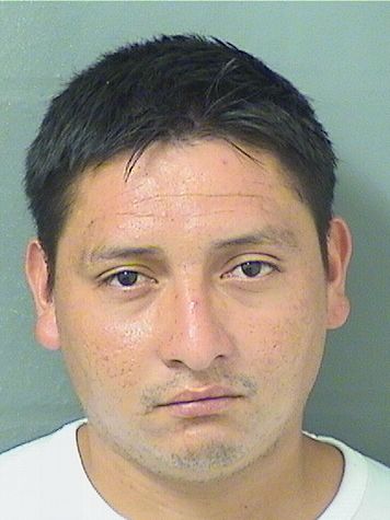  MIGUEL VELASQUEZ Results from Palm Beach County Florida for  MIGUEL VELASQUEZ