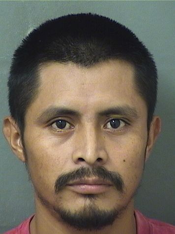  DIEGO G VAZQUEZ Resultados de la busqueda para Palm Beach County Florida para  DIEGO G VAZQUEZ