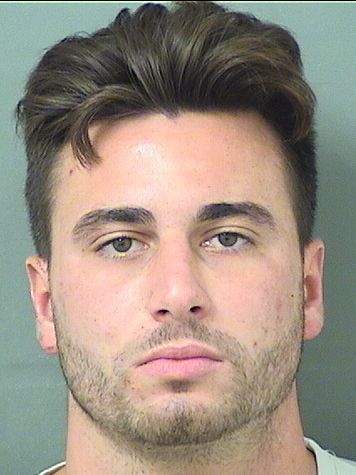  JARED NICHOLAS PICCIRILLI Results from Palm Beach County Florida for  JARED NICHOLAS PICCIRILLI