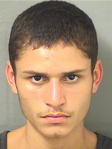  MARC ANTHONY MEJIAS Results from Palm Beach County Florida for  MARC ANTHONY MEJIAS