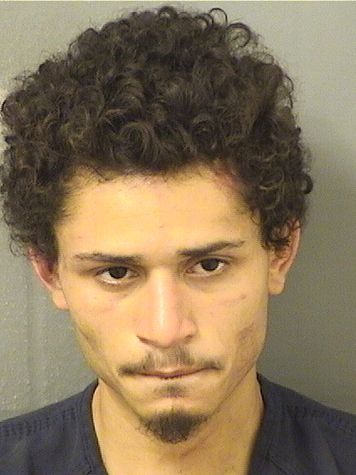  MARC A MEJIAS Results from Palm Beach County Florida for  MARC A MEJIAS