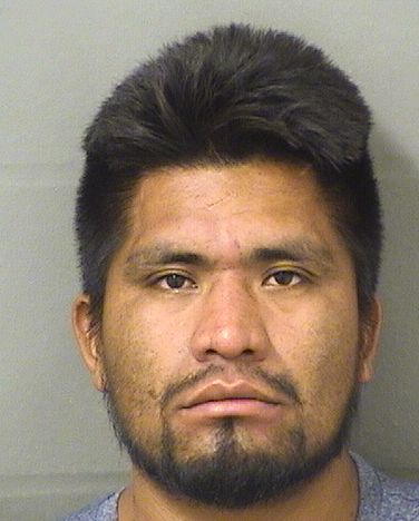  MANUEL JIMENEZHERNANDEZ Results from Palm Beach County Florida for  MANUEL JIMENEZHERNANDEZ