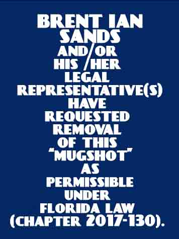  BRENT IAN SANDS Results from Palm Beach County Florida for  BRENT IAN SANDS