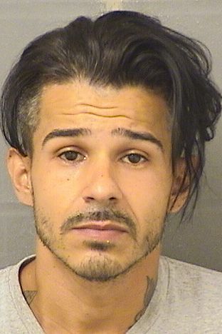  ANGELO DEMETRO Results from Palm Beach County Florida for  ANGELO DEMETRO