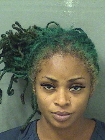  DENEEN TORRIE ALVES Results from Palm Beach County Florida for  DENEEN TORRIE ALVES