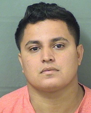  CARLOS GEOVANNY RAUDALESROSALES Resultados de la busqueda para Palm Beach County Florida para  CARLOS GEOVANNY RAUDALESROSALES