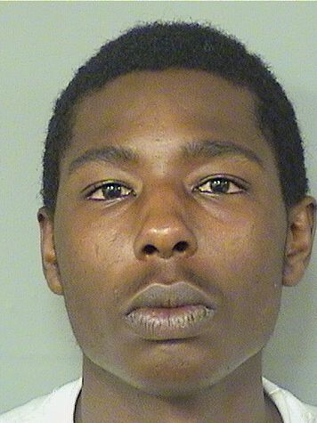  ARTAVIOUS D JOHNSON Results from Palm Beach County Florida for  ARTAVIOUS D JOHNSON