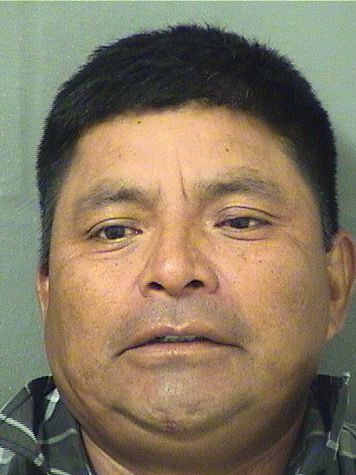 JORGE ALEJANDRO TOMASBERNARDO Photos For  JORGE ALEJANDRO TOMASBERNARDO  JORGE ALEJANDRO TOMASBERNARDO Photo For  JORGE ALEJANDRO TOMASBERNARDO