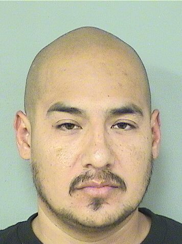  FRANSISCO  Jr MORALES Results from Palm Beach County Florida for  FRANSISCO  Jr MORALES