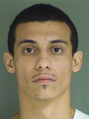  SANTIAGO GONZALES Results from Palm Beach County Florida for  SANTIAGO GONZALES