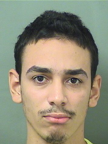  REY PEREZALMESTICA Results from Palm Beach County Florida for  REY PEREZALMESTICA