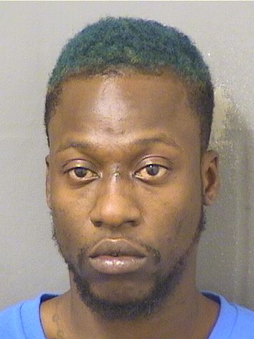  DAVID SIMON Results from Palm Beach County Florida for  DAVID SIMON