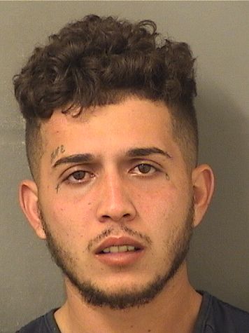  ERIC J SANTA Resultados de la busqueda para Palm Beach County Florida para  ERIC J SANTA