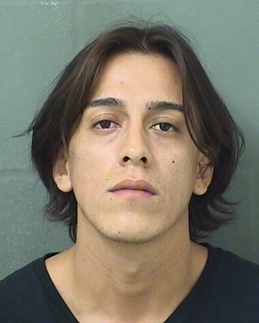  PAUL ALEJANDRO JAYA Results from Palm Beach County Florida for  PAUL ALEJANDRO JAYA