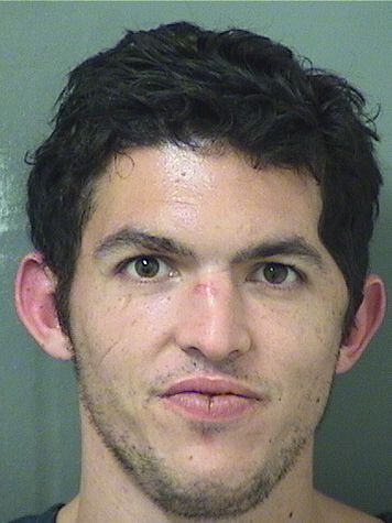  ALEXANDER JASON REINER Results from Palm Beach County Florida for  ALEXANDER JASON REINER