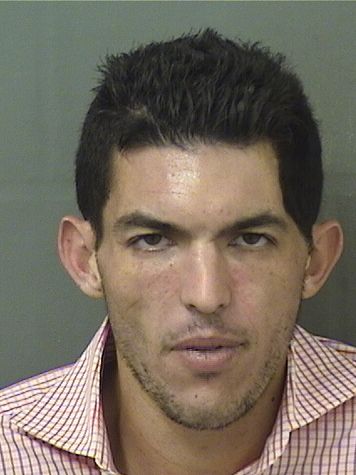  ALEXANDER JASON REINER Results from Palm Beach County Florida for  ALEXANDER JASON REINER