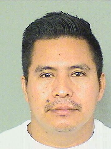  VICENTE TERRAZAMARCOS Resultados de la busqueda para Palm Beach County Florida para  VICENTE TERRAZAMARCOS