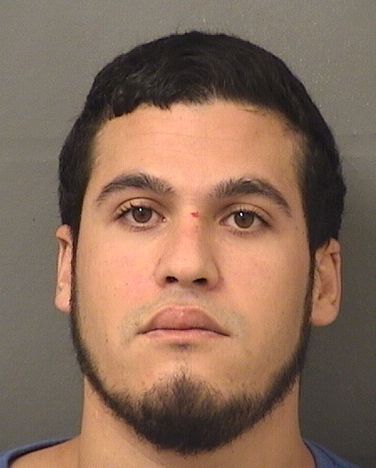  ORLANDO LUIS ALMODOVAR Results from Palm Beach County Florida for  ORLANDO LUIS ALMODOVAR