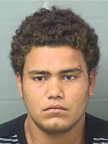  JIMY ALMADOR Results from Palm Beach County Florida for  JIMY ALMADOR