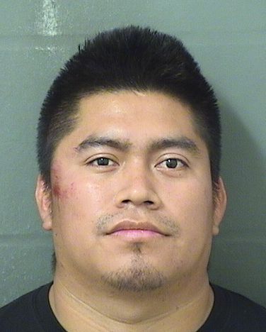  DIEGO P LUX Results from Palm Beach County Florida for  DIEGO P LUX