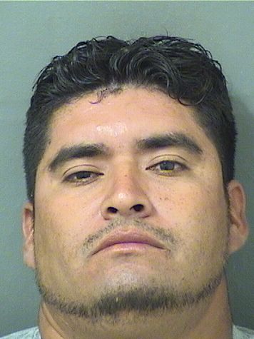  MILTON ARMONDO VASQUEZMOLINA Resultados de la busqueda para Palm Beach County Florida para  MILTON ARMONDO VASQUEZMOLINA