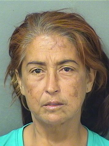  MISLAYDIS C IBANEZ Results from Palm Beach County Florida for  MISLAYDIS C IBANEZ