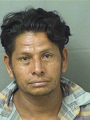  LUIS FERNANDO MONCADARAMOS Photo For  LUIS FERNANDO MONCADARAMOS