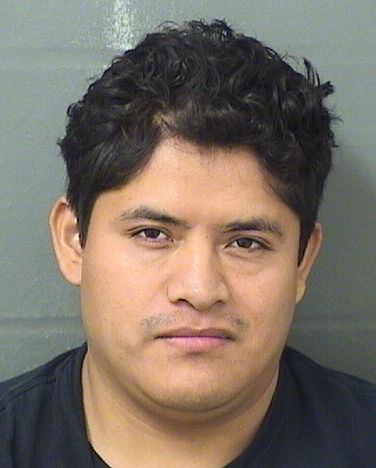  ELMER JEREMIAS MEJIADOMINGO Results from Palm Beach County Florida for  ELMER JEREMIAS MEJIADOMINGO