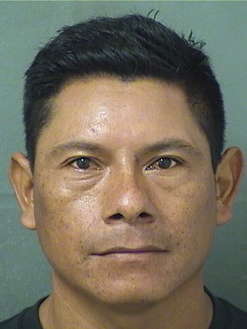  JUAN J RAMIREZ Resultados de la busqueda para Palm Beach County Florida para  JUAN J RAMIREZ