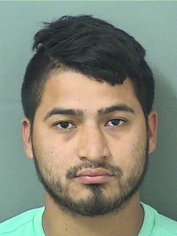  WILMER A CASTILLO Resultados de la busqueda para Palm Beach County Florida para  WILMER A CASTILLO