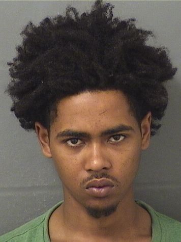  RYAN MIKAEL COTTON Results from Palm Beach County Florida for  RYAN MIKAEL COTTON