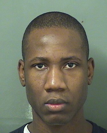  THONIEL NOEL Results from Palm Beach County Florida for  THONIEL NOEL