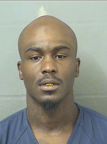  DAVID L HELLER Resultados de la busqueda para Palm Beach County Florida para  DAVID L HELLER