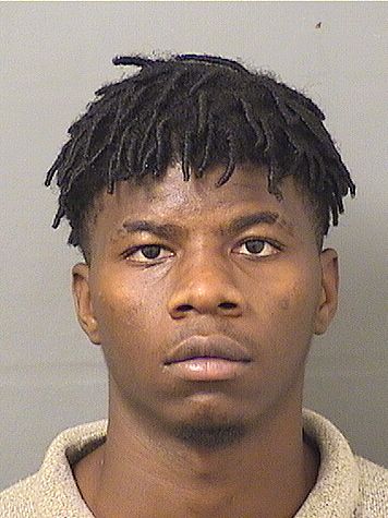  THEODORE MATTHEW SAMUDA Results from Palm Beach County Florida for  THEODORE MATTHEW SAMUDA