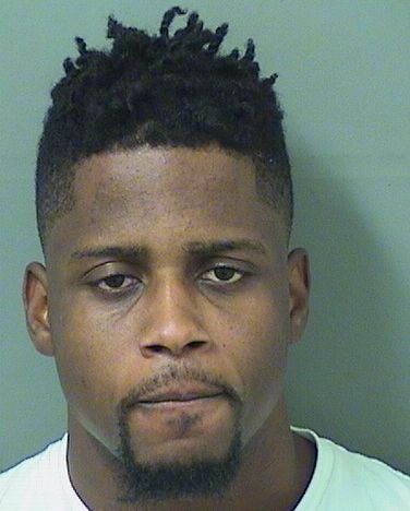  MICHELSON JANVIER Photo